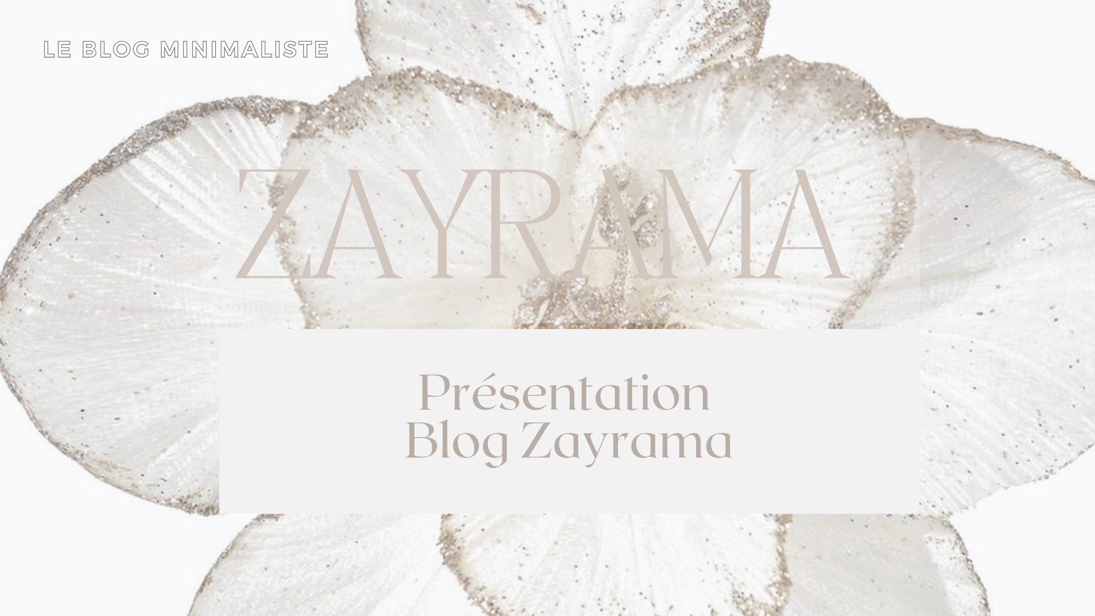 Introduction - Blog Zayrama