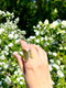 Bague Fanny